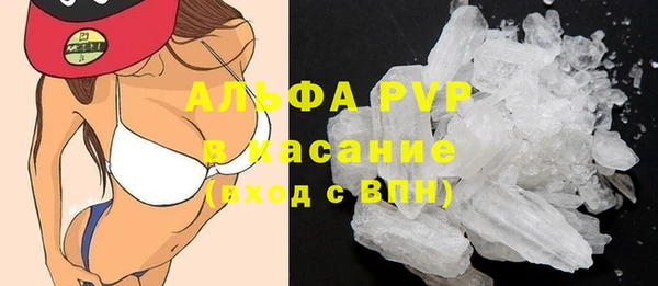 PSILOCYBIN Ельня