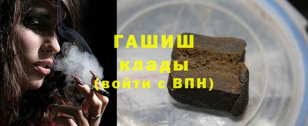 PSILOCYBIN Ельня