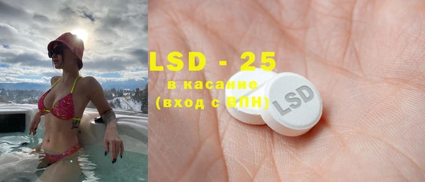 PSILOCYBIN Ельня