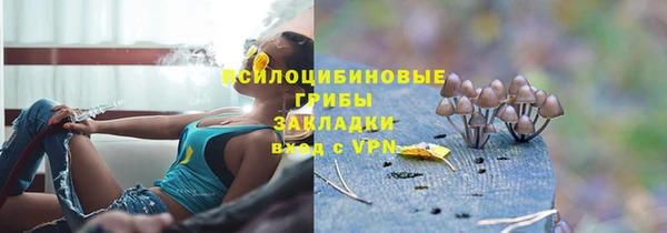 метадон Елизово