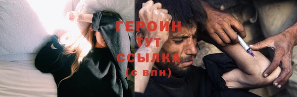 PSILOCYBIN Ельня