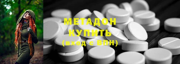 PSILOCYBIN Ельня