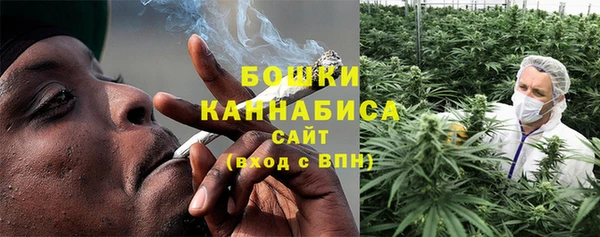 метадон Елизово