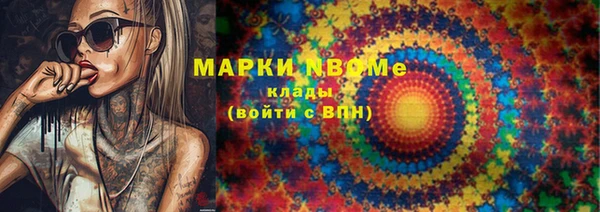PSILOCYBIN Ельня