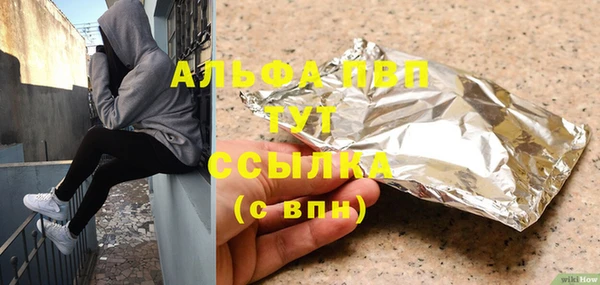 PSILOCYBIN Ельня