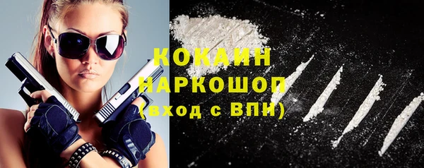 PSILOCYBIN Ельня