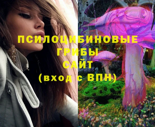 таблы Елабуга