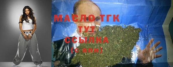 PSILOCYBIN Ельня