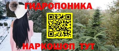 стаф Канаш