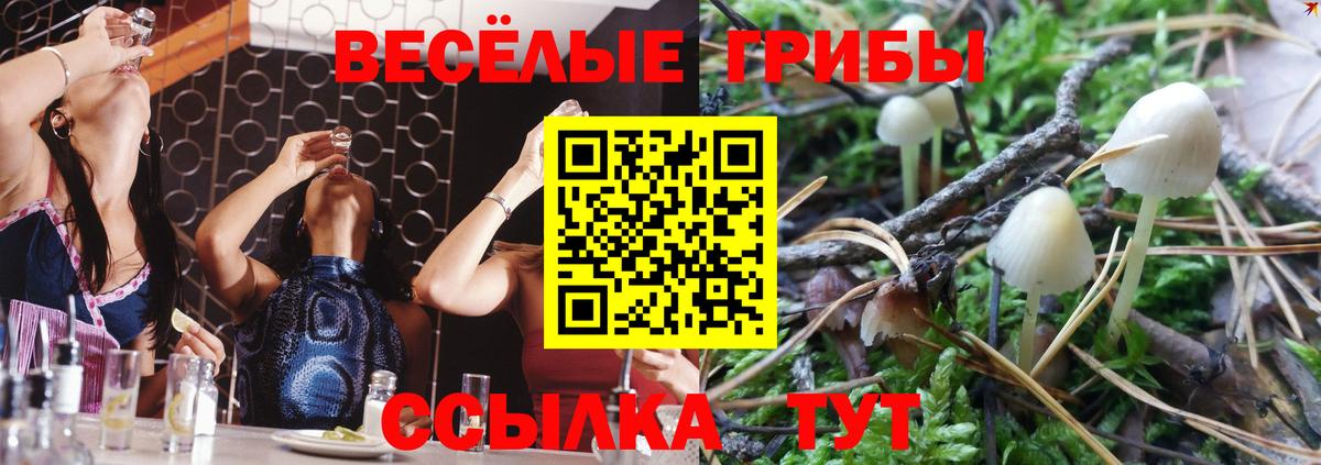 Галлюциногенные грибы MAGIC MUSHROOMS  Вход с VPN  Псилоцибиновые грибы Magic Shrooms  продажа наркотиков  Реж 